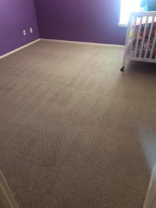 A freshly cleaned light brown carpet in a bedroom with purple walls by Family 1st Carpet Care in Houston, TX.
