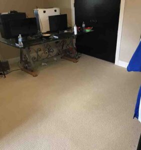 A freshly cleaned carpet in a home office, showcasing the results from Wildcat Carpet Cleaning in Nicholasville, KY.