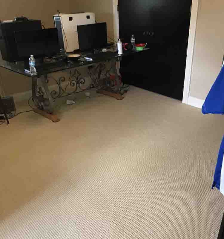 A freshly cleaned carpet in a home office, showcasing the results from Wildcat Carpet Cleaning in Nicholasville, KY.