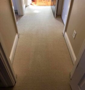 A clean carpet in a residential hallway, professionally cleaned by Wildcat Carpet Cleaning in Nicholasville, KY.