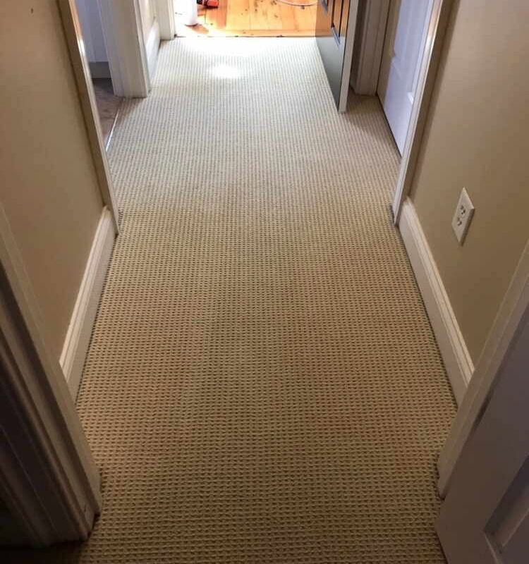 A clean carpet in a residential hallway, professionally cleaned by Wildcat Carpet Cleaning in Nicholasville, KY.