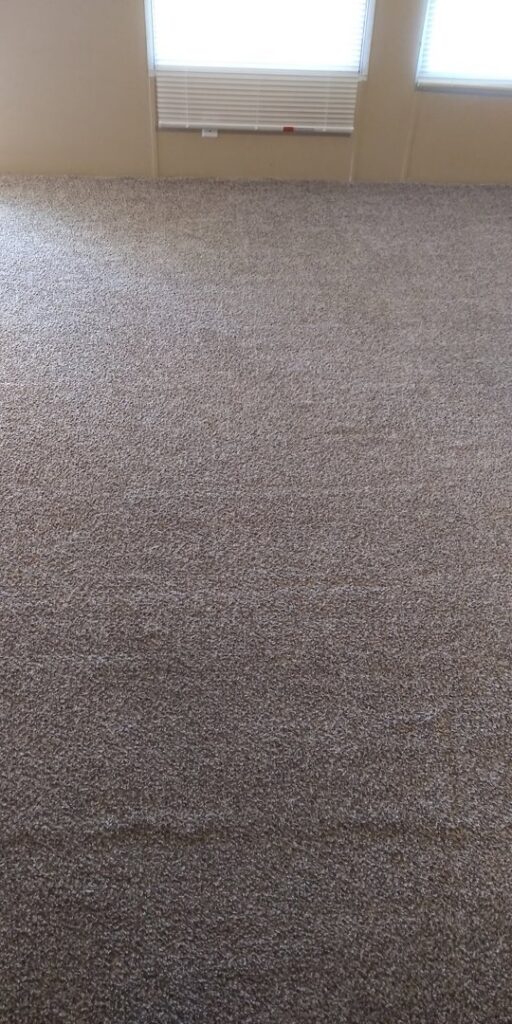 A clean carpet in a room with visible cleaning patterns, showcasing the work of A Plus Carpet Cleaning in Lawton, OK.