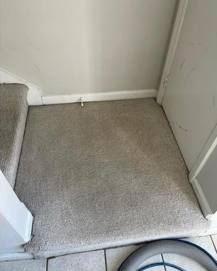 Clean carpeted landing area with a cleaning hose, showing recent service by D&A Carpet Cleaning in Durham, NC.