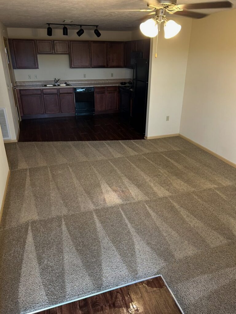 A clean carpet with distinct cleaning lines in a living room and kitchen area, by Reliable Carpet Cleaning LLC in Liverpool, NY.