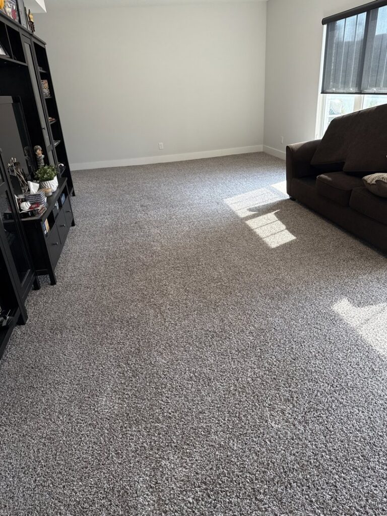 A freshly cleaned carpet in a living room, showcasing the results from Advanced Carpet Cleaning in College Station, TX