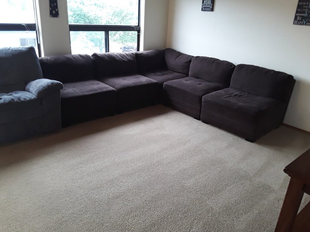 A clean carpeted living room with a dark sectional sofa after professional service by Alaska Dry Carpet in Anchorage, AK.