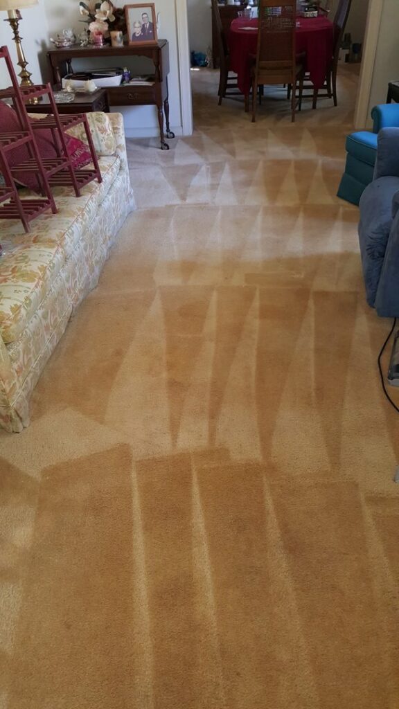 Cleaned carpet with distinct cleaning lines in a residential living room by ALL Services of NC in Greensboro, NC