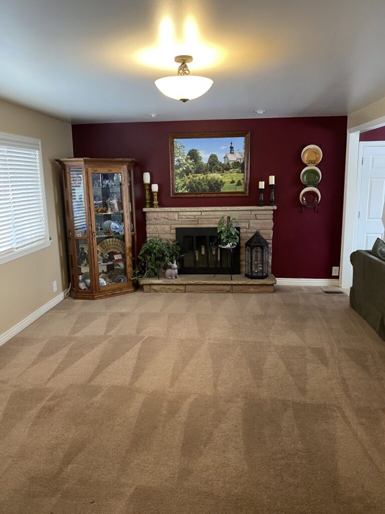 A clean carpet in a living room, showing professional cleaning patterns, by Deep Wave Cleaning Solutions in Summerville, SC
