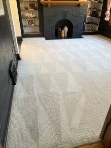 A living room with freshly cleaned carpet and distinct patterns near a fireplace by 5 Alarm Carpet Care in West Allis, WI.