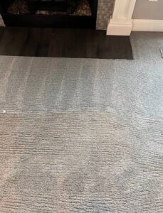 A clean, well-maintained carpet in a living room after service by ProTech Carpet Care in Greensboro, NC.