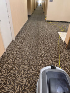 A clean, well-maintained carpeted area adjacent to a wood-look floor, showcasing work by B's Carpet Cleaning in Saint George, UT.