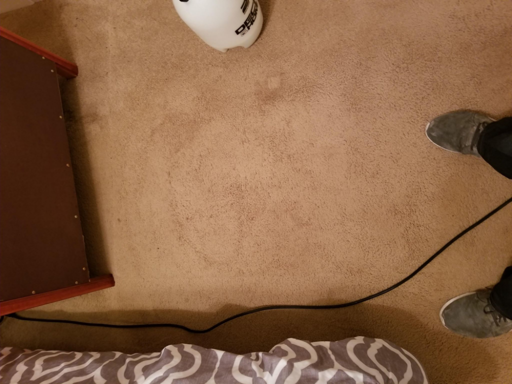 A clean patch of carpet with a spray bottle, demonstrating carpet cleaning work by Quick Dry Carpet Cleaning in Crown Point, IN