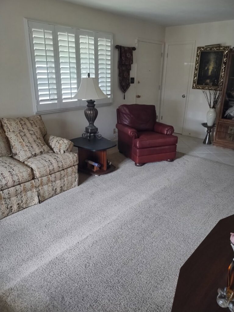 A clean, light-colored carpet in a residential living room after professional cleaning by STC Carpet Care in Arvada, CO