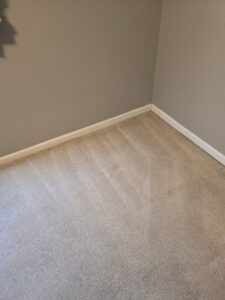 A freshly cleaned light-colored carpet in a room corner by My Carpet Cleaner Nashville, TN