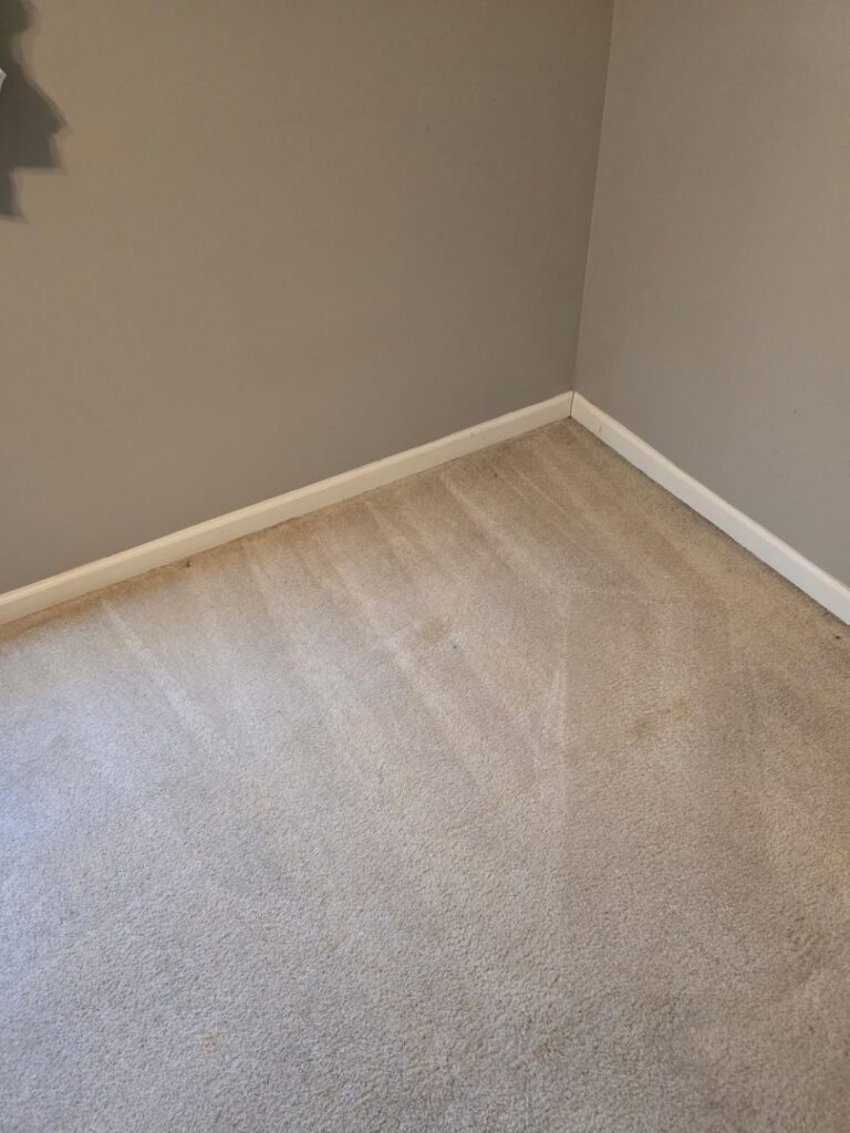 A freshly cleaned light-colored carpet in a room corner by My Carpet Cleaner Nashville, TN