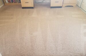 A clean carpet under a desk after professional cleaning by Integrity Cleaning Systems in Peoria, AZ