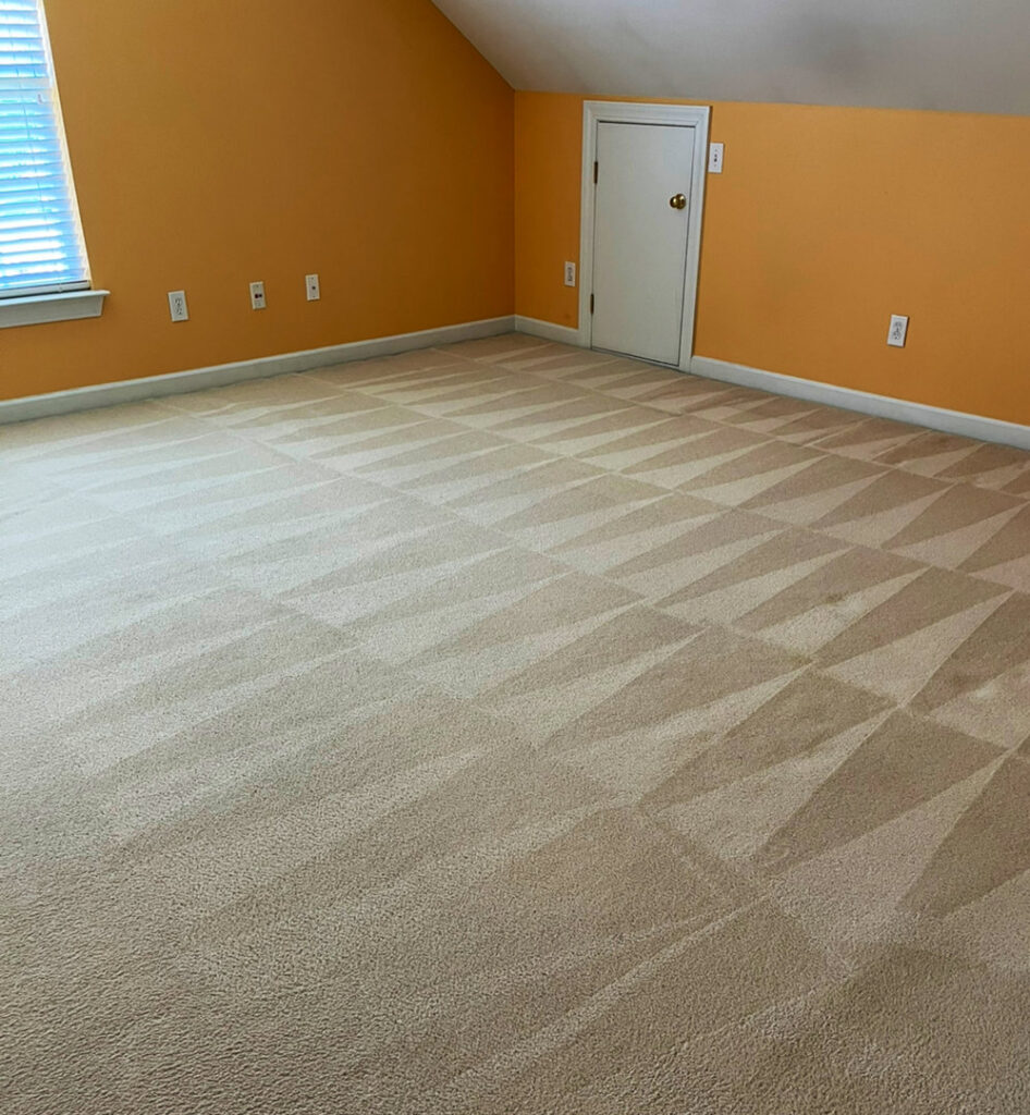 A clean carpet with distinct cleaning lines in a room by First Clean SC in North Charleston, SC.
