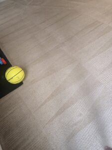 A clean carpet showing distinct cleaning lines after professional service by PRIME CLEAN VA in Virginia Beach, VA.