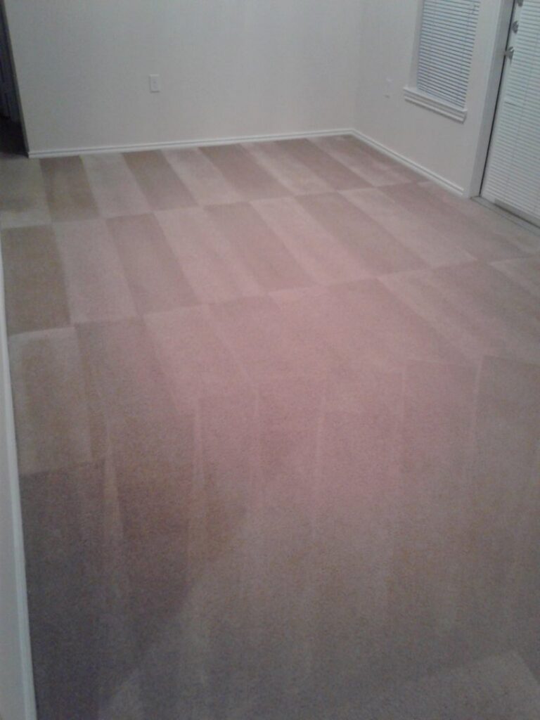 A clean carpet with distinct cleaning lines after professional service by A Plus Carpet Cleaning in Lawton, OK.