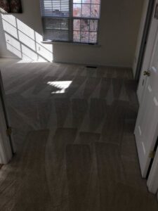 A clean carpet with distinct vacuum marks in a residential room by Sure Clean Professionals in Port St. Lucie, FL