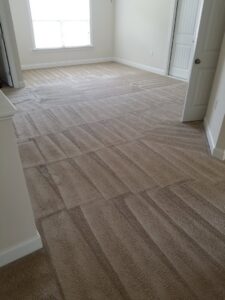 A clean carpeted room showing distinct cleaning lines after a professional service by Steam Giant in Raleigh, NC.