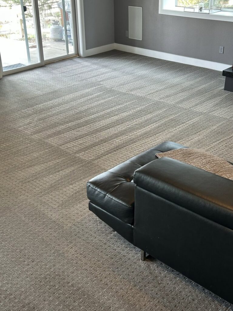 A clean carpet with fresh cleaning lines, demonstrating the professional service of 303 Carpet Cleaning in Lakewood, CO