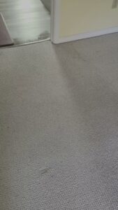 A clean carpeted room showing fresh cleaning lines after service by Belles Carpet Cleaning & Janitorial Inc. in Harrisburg, PA.