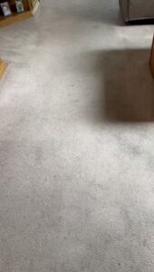 A clean carpet displaying fresh cleaning lines after service by Imperial Carpet Cleaning in San Diego, CA.