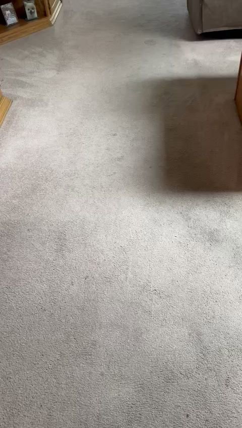 A clean carpet displaying fresh cleaning lines after service by Imperial Carpet Cleaning in San Diego, CA.