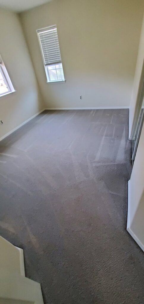 A clean carpet with fresh vacuum lines after professional cleaning by Maxi-Max Carpet Cleaning in Salem, OR