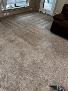 A clean carpet showing fresh cleaning lines after a service by SAENZ Carpet Cleaning in Dallas, TX.