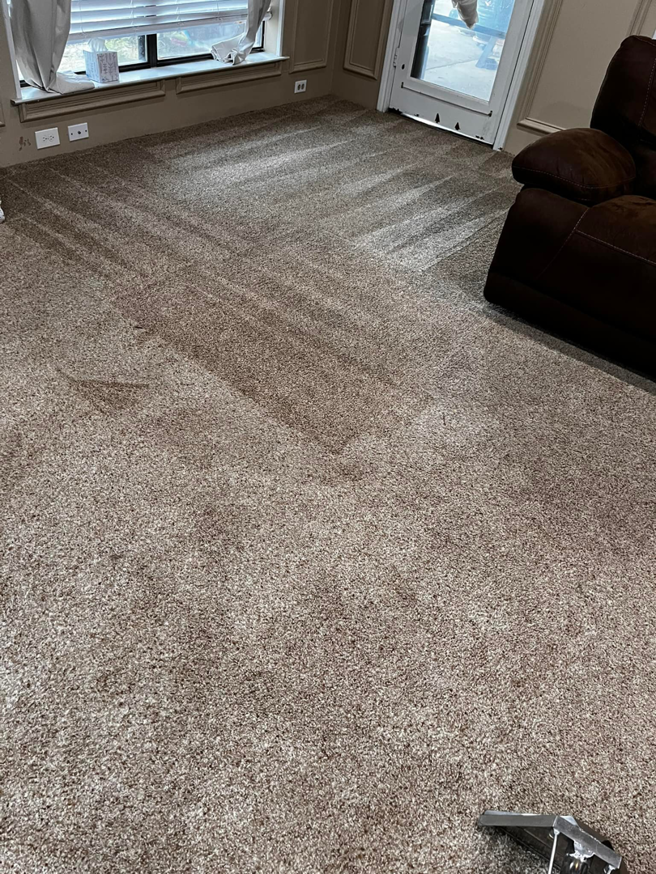 A clean carpet showing fresh cleaning lines after a service by SAENZ Carpet Cleaning in Dallas, TX.