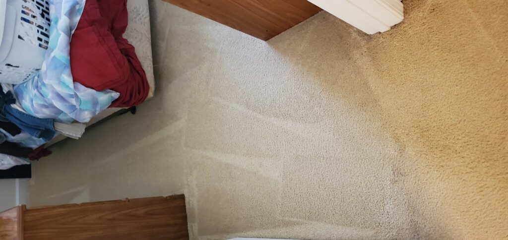 A clean carpet showing fresh cleaning lines after a professional service by Spot On Carpet Cleaning of Columbia, SC.