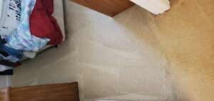 A clean carpet showing fresh cleaning lines after a professional service by Spot On Carpet Cleaning of Columbia, SC.