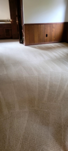 A clean, light-colored carpet with visible cleaning lines by Extreme Carpet Cleaning Atlanta, GA.