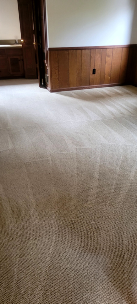 A clean, light-colored carpet with visible cleaning lines by Extreme Carpet Cleaning Atlanta, GA.