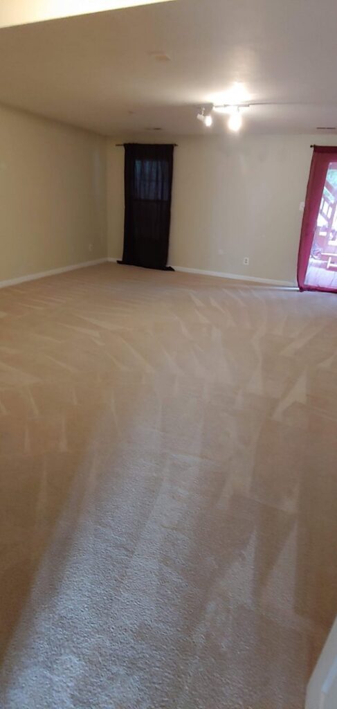 A freshly cleaned light-colored carpet with distinct cleaning lines by Professional Carpet Care Laurel in Laurel, MD