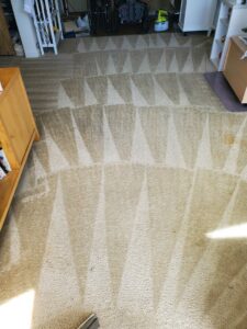 A clean carpet showing distinct cleaning patterns after service by Ramirez Carpet Cleaning in Sacramento, CA