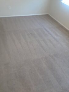 A clean carpet displaying a fresh pattern after professional cleaning by Superior Carpet Cleaning And Flooring in Dallas, TX