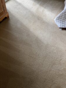 A clean carpet showing subtle patterns from professional cleaning by Eco Clean Carpet and Tile Care in Rocklin, CA