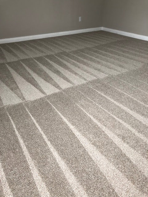 A clean carpet showcasing professional cleaning patterns by Wildcat Carpet Cleaning in Nicholasville, KY.