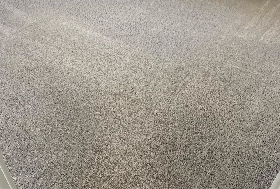 A clean carpet showing distinct vacuum lines after professional cleaning by A Brighter Cleaning Service in Arlington, TX.