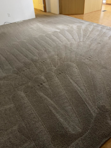 A clean, light brown carpet showing fresh vacuum lines after a professional cleaning by A&g's carpet cleaning service in Vancouver, WA.