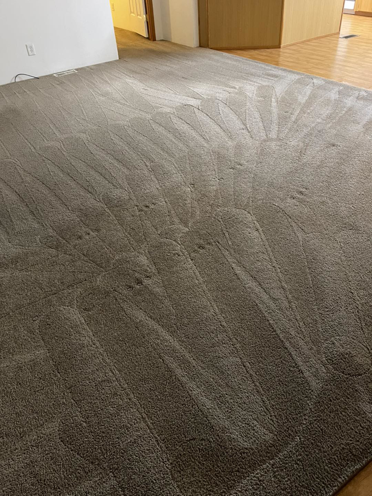 A clean, light brown carpet showing fresh vacuum lines after a professional cleaning by A&g's carpet cleaning service in Vancouver, WA.