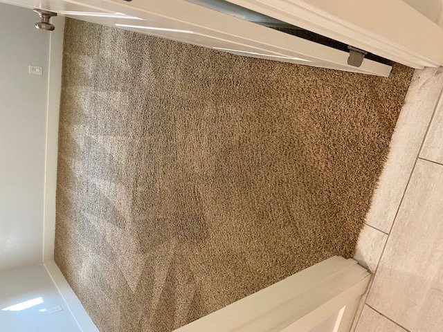 A clean carpet showing distinct vacuum lines after professional cleaning by AJS Carpet Cleaning, Inc. in Orem, UT.
