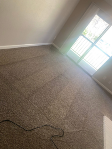 A clean carpet with fresh vacuum lines in a room by Furns Total Carpet Care in Murfreesboro, TN.