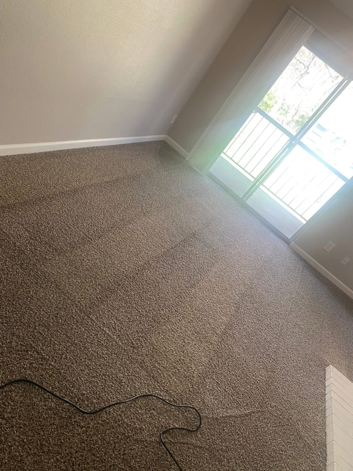 A clean carpet with fresh vacuum lines in a room by Furns Total Carpet Care in Murfreesboro, TN.
