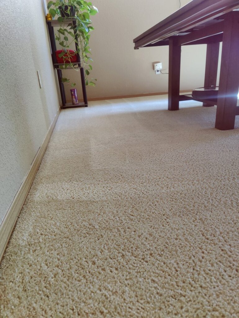 A clean, light-colored carpet with visible vacuum lines, indicating a professional cleaning service by Mace Carpet Services in Tacoma, WA