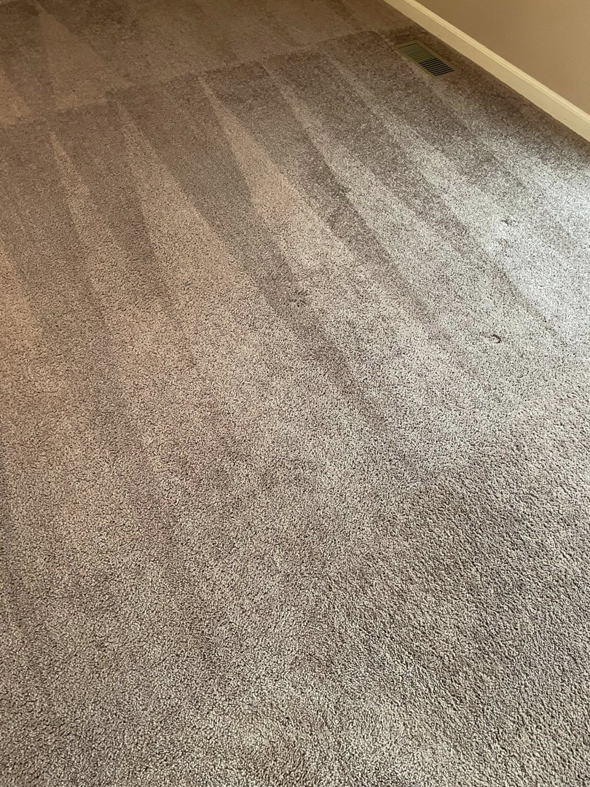 A clean carpet showing distinct vacuum lines after professional service by Pro Care Cleaning in Lincoln, NE.