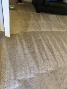 A clean carpet with visible cleaning lines extending into a room by Sunshine Carpet Cleaning Services in Houston, TX
